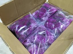 [Extra Natural] Frozen Dragon Fruit Chunk 1kg/pack (10 packs per carton) - image 2