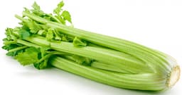 Celery (sold per kg) - image 2
