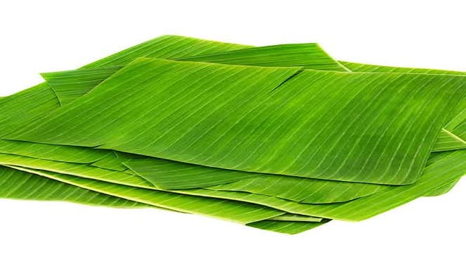 Banana Leaves, Daun Pisang 1kg±/bundle (sold per bundle)