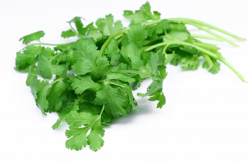 Daun Sup (sold per kg)