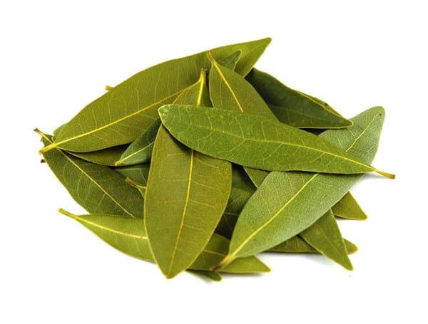 Ameritto Gourmet Bay Leaf 500g/pack (sold per pack)