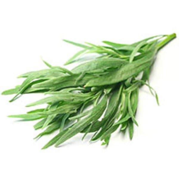 Ameritto Gourmet Tarragon 500g/pack (sold per pack)