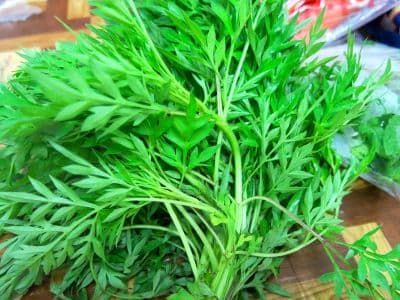 Daun Ulam Raja (sold per kg)