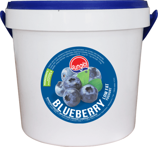 Blueberry Fruit Yoghurt 1.5kg/tubs (6 tubs per carton)