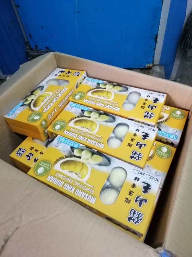 Durianlicious Durian Ice Cream Mochi 10 pieces/pack (40 packs per carton)