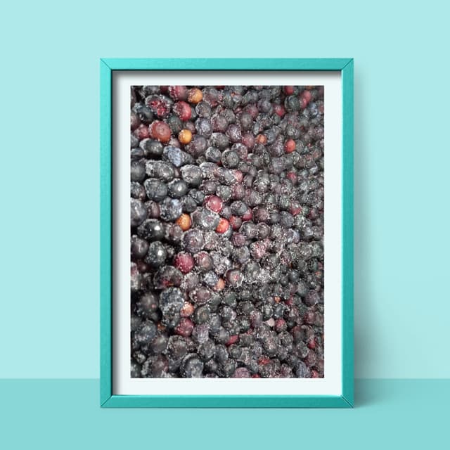 Harvestime IQF Blueberry 10kg/ctn bulk