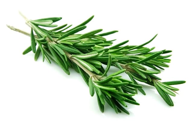 Fresh Herb – Rosemary 50g/pack (sold per pack)