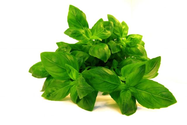 Fresh Herb – Sweet Basil 50g/pack (sold per pack)