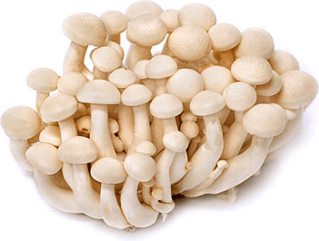 White Shimeji Mushroom 200g±/pack (sold per pack)
