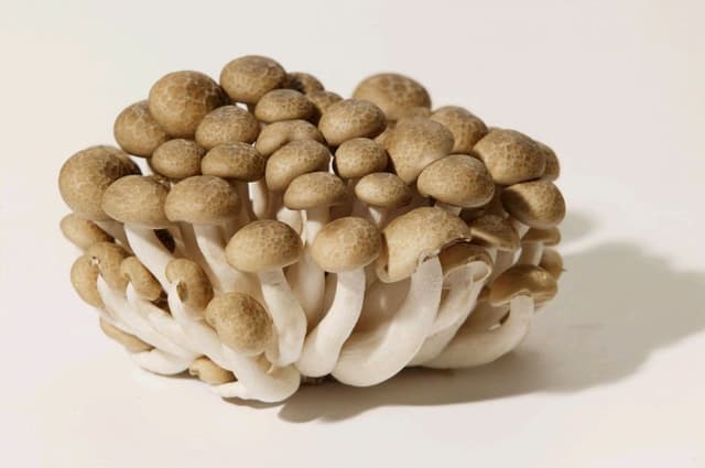 Brown Shimeji Mushroom 200g±/pack (sold per pack)
