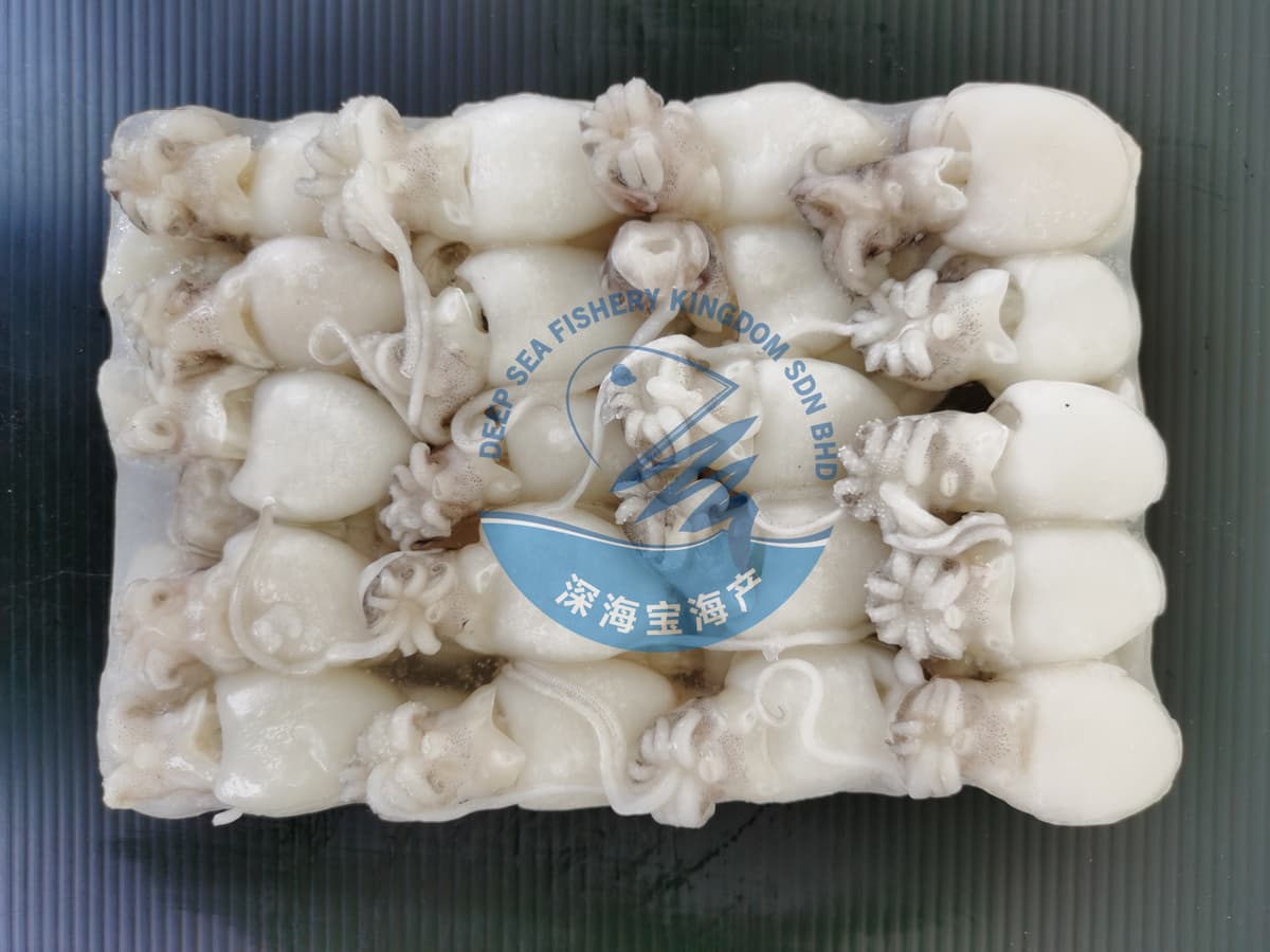 Cuttlefish 200g nw- per Piece (Sold per block)
