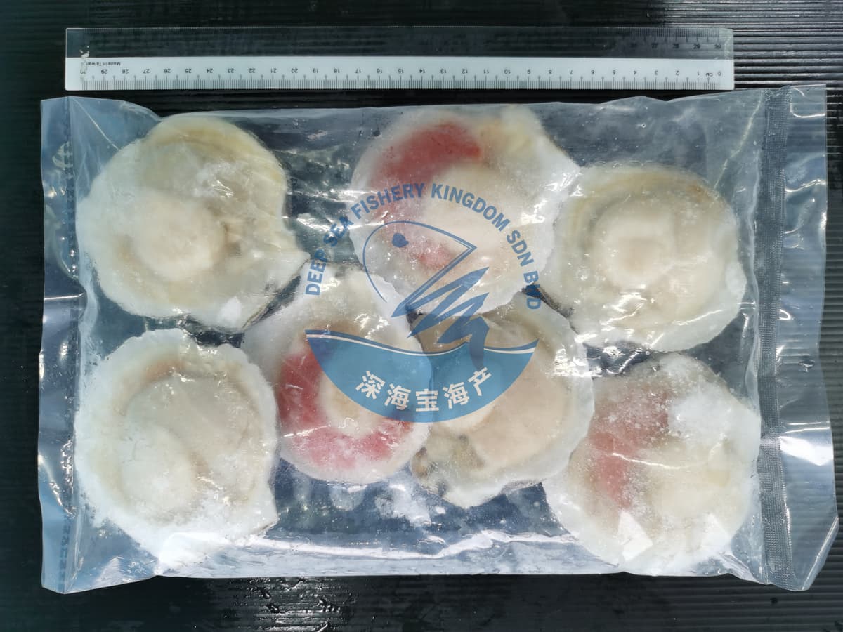Japan H/S White Scallop Roe XXL Size 6 to 7 Pieces per Pack (Sold per Pack)