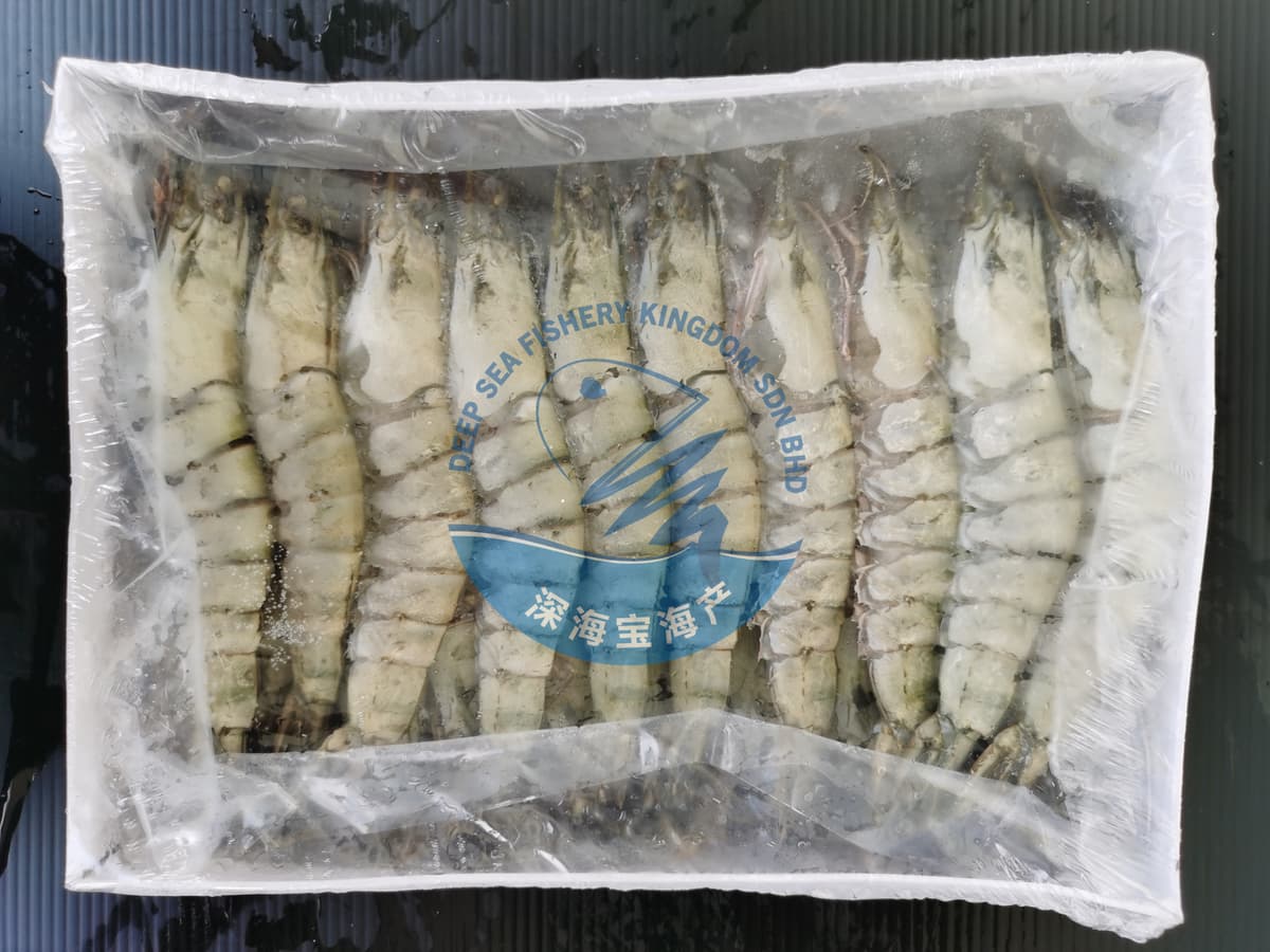 Black Tiger Prawn XL Size 16/20 pcs/block (sold per block)