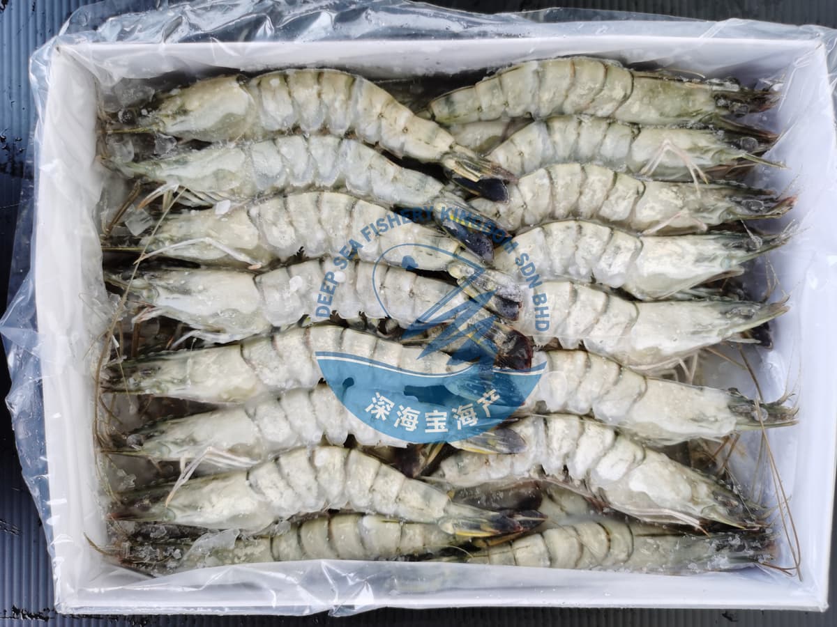 Black Tiger Prawn M Size 26/30 pcs/block (sold per block)