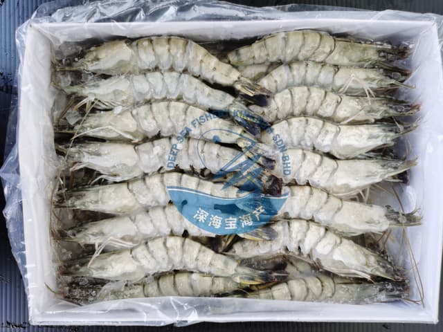 Black Tiger Prawn M Size 26/30 pcs/block (sold per block)