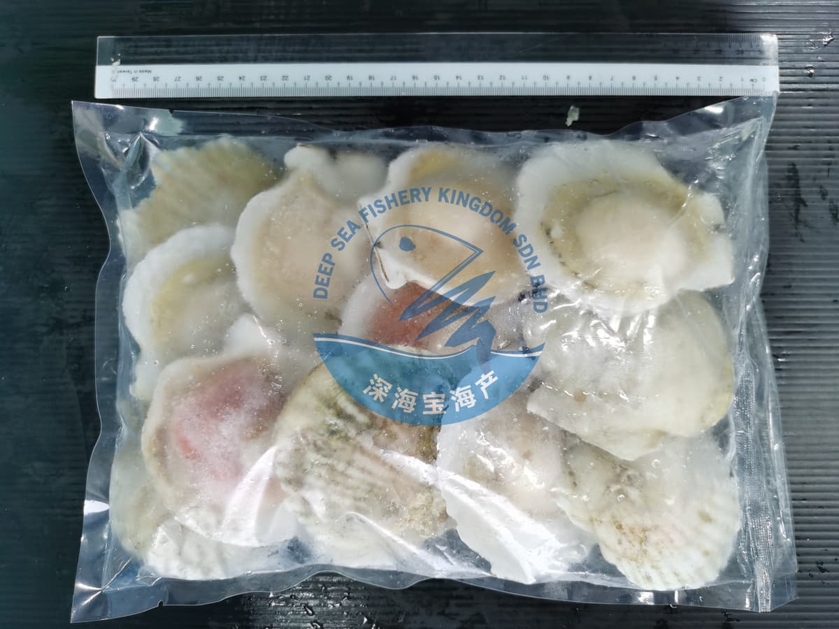 Japan H/S White Scallop Roe XL Size 9 to 10 Pieces per Pack (Sold per Pack)