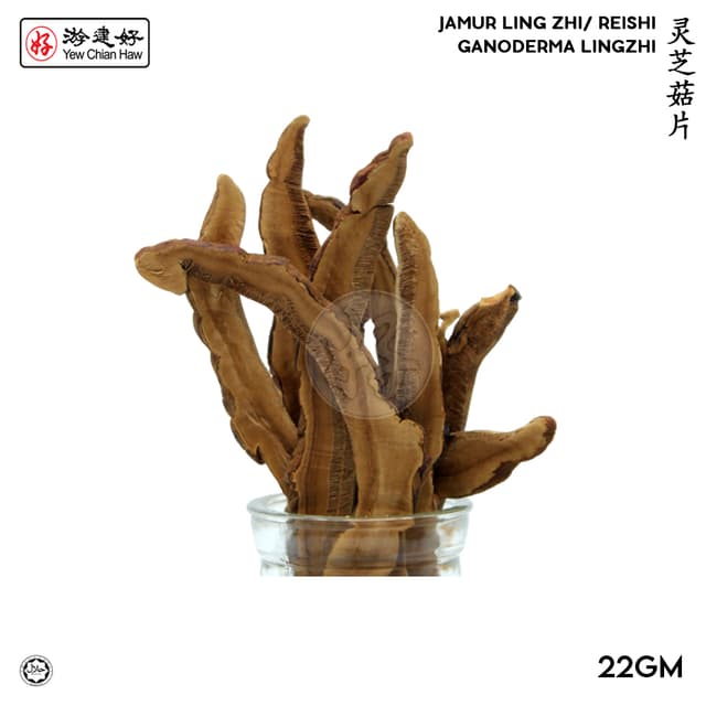 YCH Herbs 灵芝菇片 Cendawan Ling Zhi / Ganoderma Lingzhi / Reishi (22g/pack) (Sold per Pack)