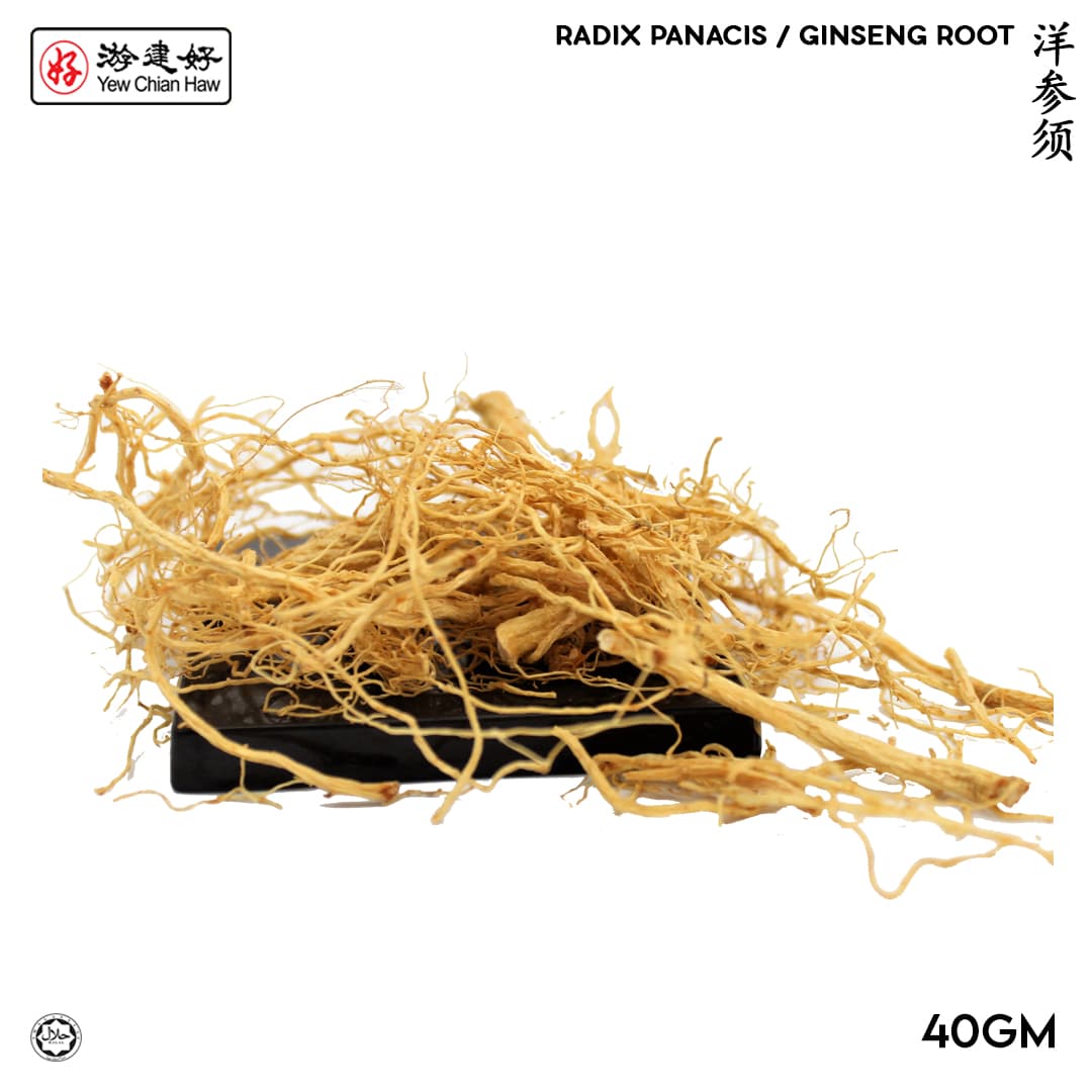 YCH Herbs 洋参须 Radix Panacis / Ginseng Root (40g/pack) (Sold per Pack)