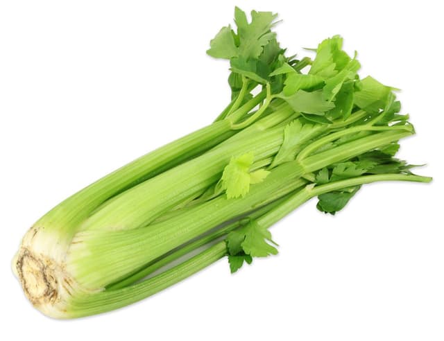 Celery (sold per kg)