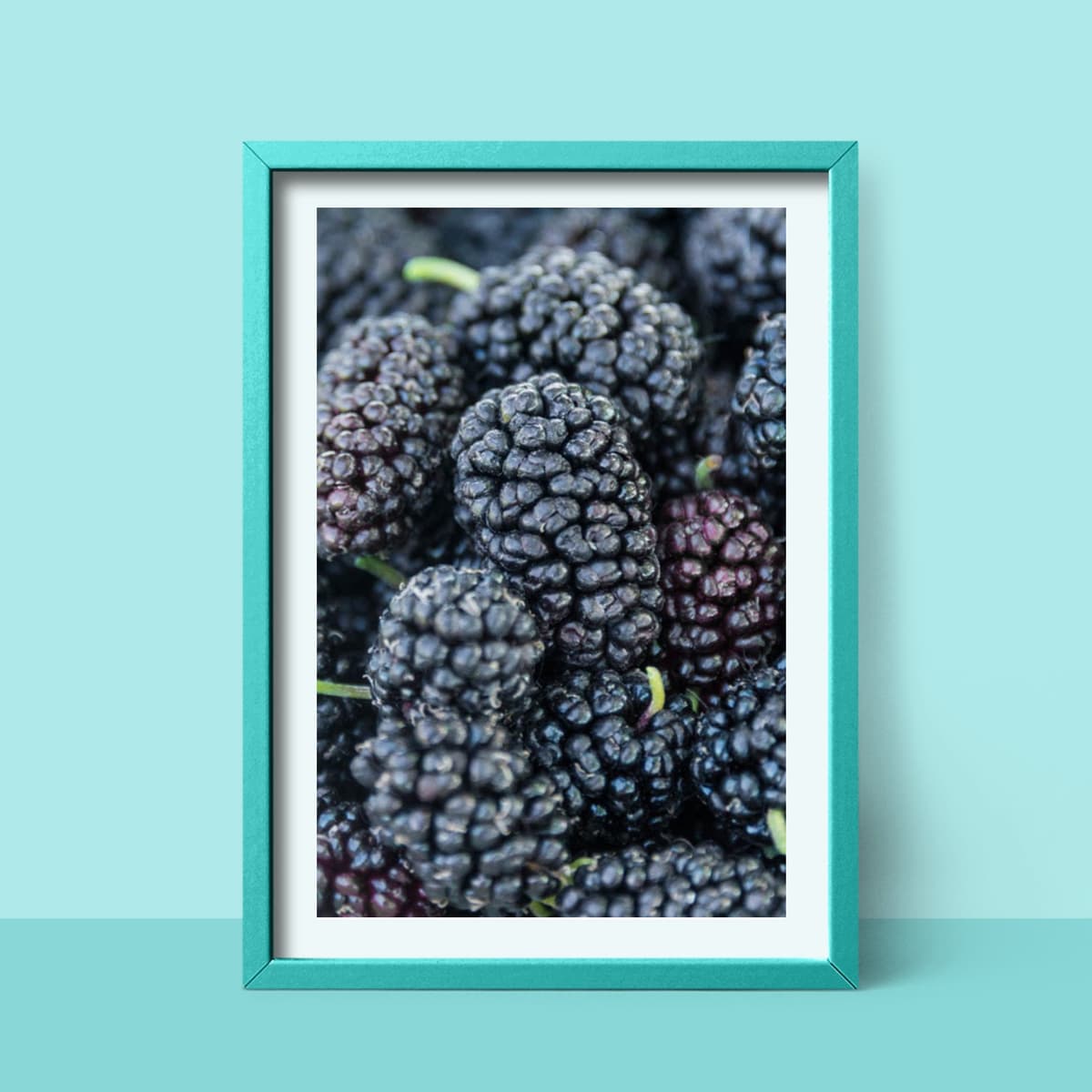 Harvestime IQF Mulberry Grade A 1kg/pack