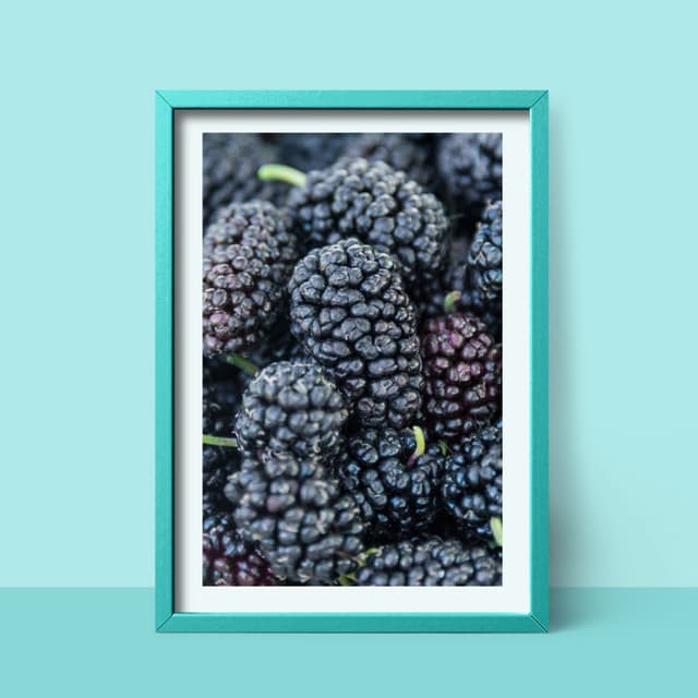 Harvestime IQF Mulberry Grade A 1kg/pack