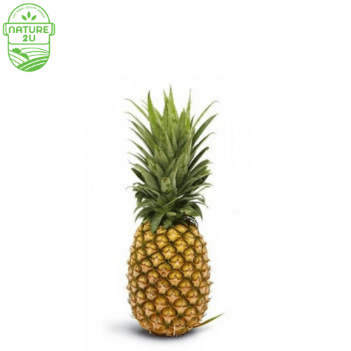 Pineapple Big (1KG+- )