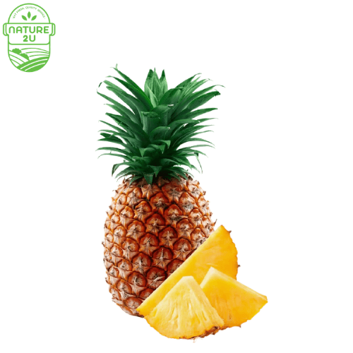 Pineapple Honey-Josa (1KG+-)