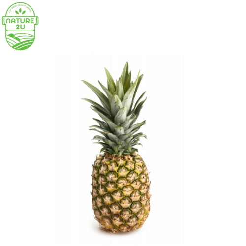 Pineapple Sarawak (1KG+-)