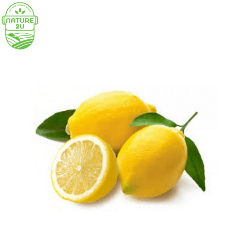 Lemon (600G+-/PKT)
