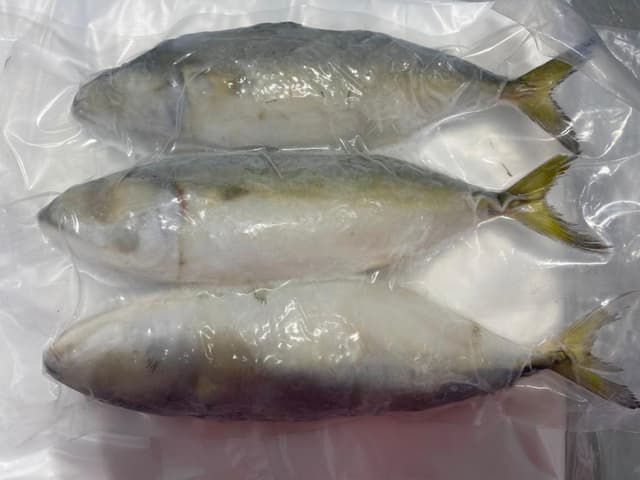 Ikan Kembong 3 Pieces 500g±/pack (sold per pack)
