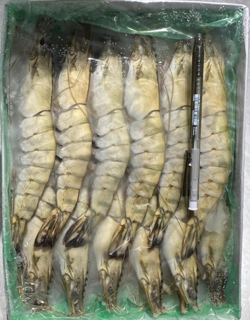 Tiger Prawn 8/12 1kg/pack (sold per pack)
