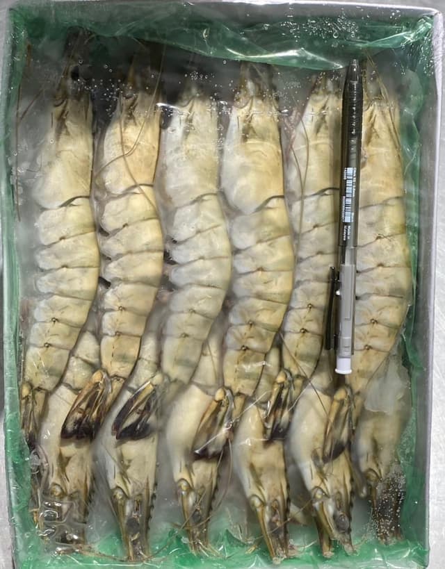 Tiger Prawn 8/12 1kg/pack (sold per pack)