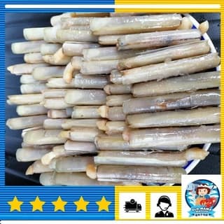 Indonesia Bamboo Clam S Size, 1kg per Pack (Sold per Pack)