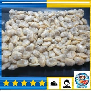 Short Neck Clam Lala Meat 1kg Per Pack (Sold per Pack)