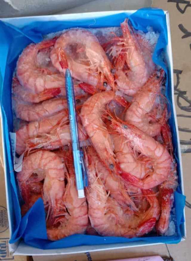 Cooked Tiger Prawn 41/50 AA 1kg/pack (sold per pack)