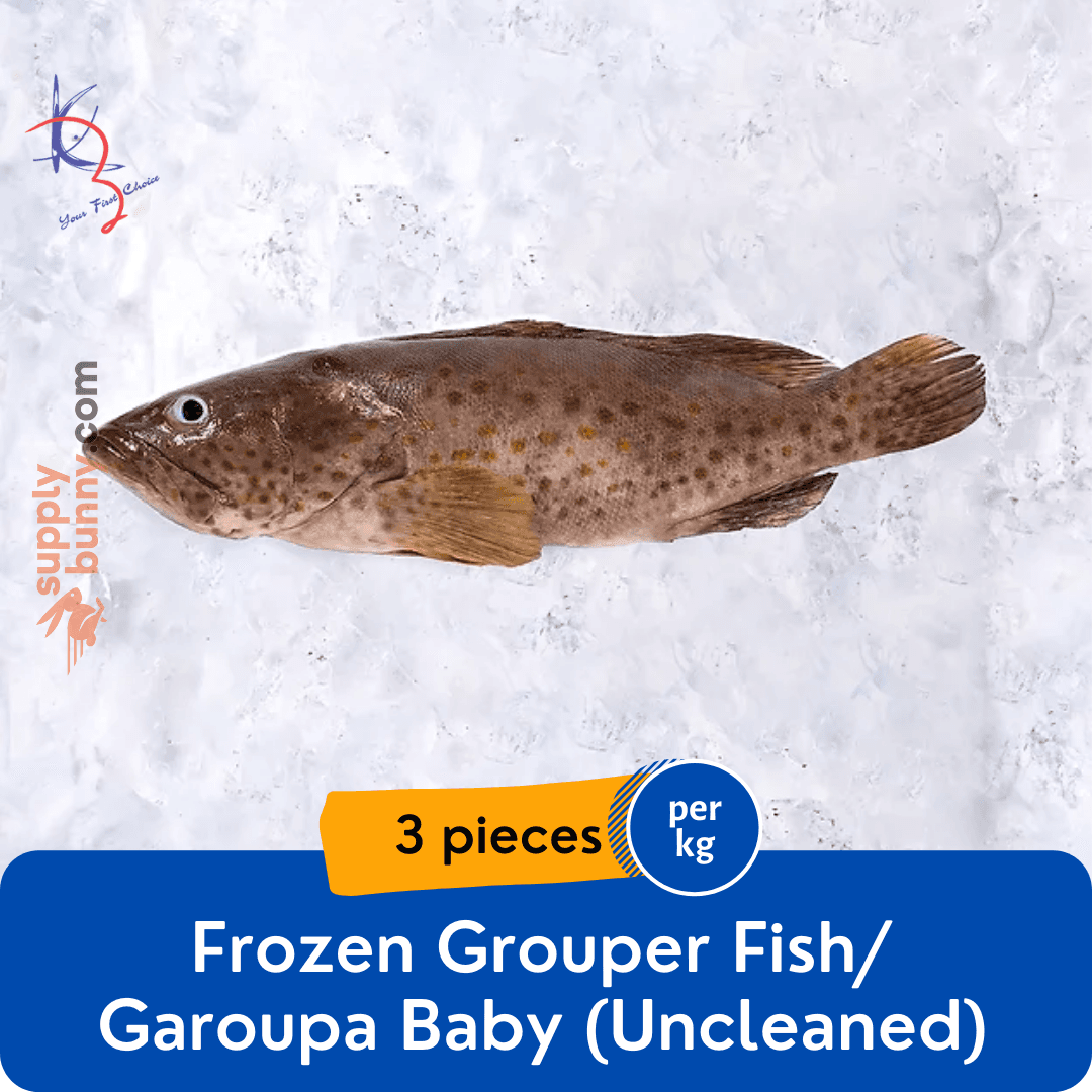 Grouper Fish / Garoupa Baby Fish 3pcs Uncleaned (900g-1kg) (sold per kg)
