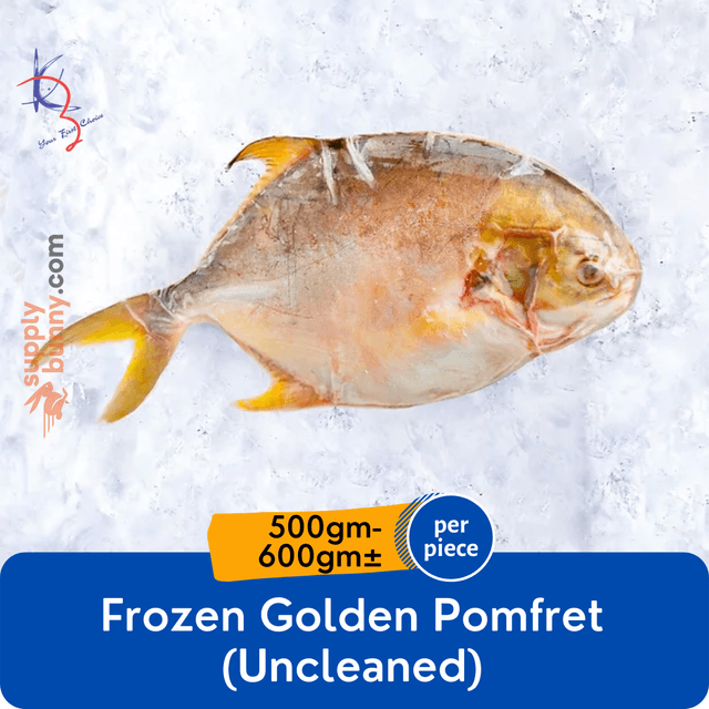 Frozen Golden Pomfret Uncleaned (500g-600g) (sold per piece)