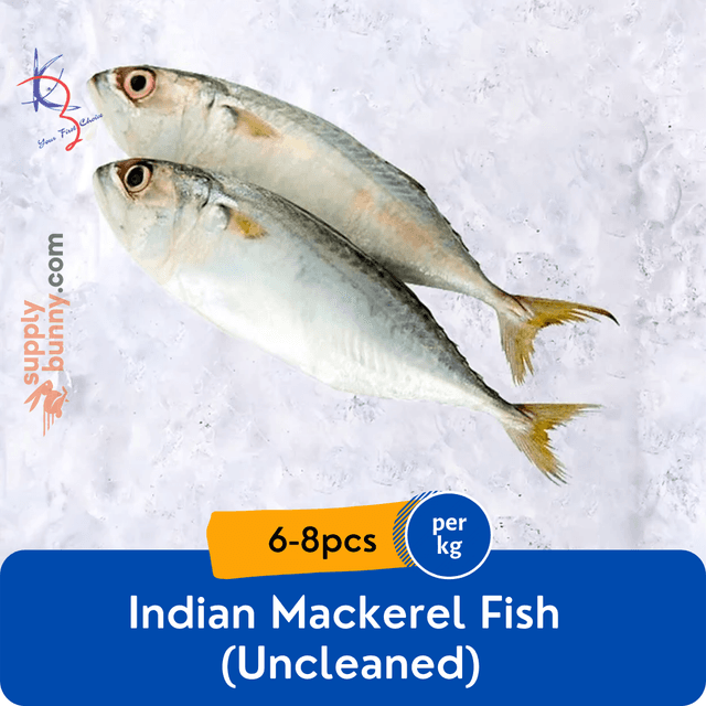 Indian Mackerel Fish Uncleaned 6-8pcs (sold per kg)
