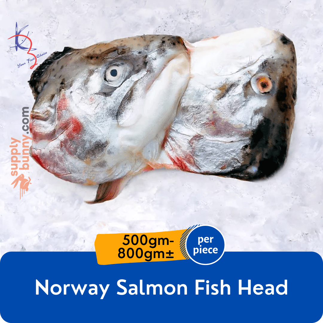 Norway Salmon Head 500-800g (sold per pack)