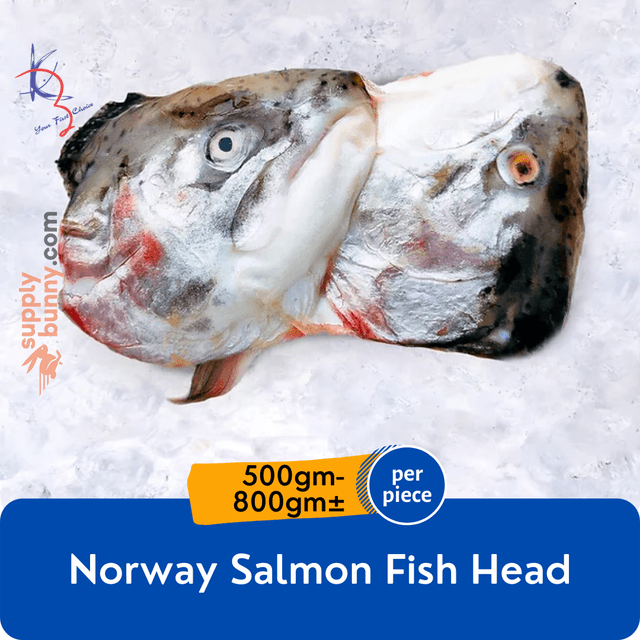 Norway Salmon Head 500-800g (sold per pack)