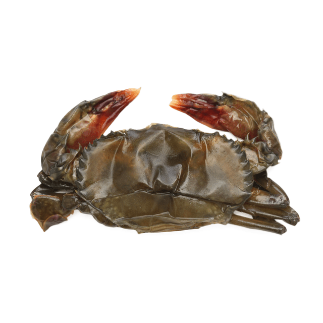 Soft Shell Crab - 10kg± (sold per carton)