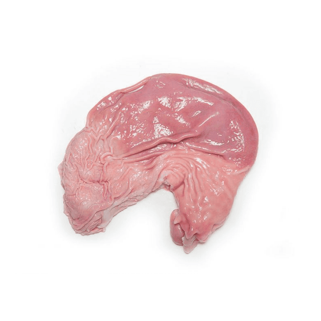 Raw Pork Stomach NL28 - 15kg± (sold per carton)