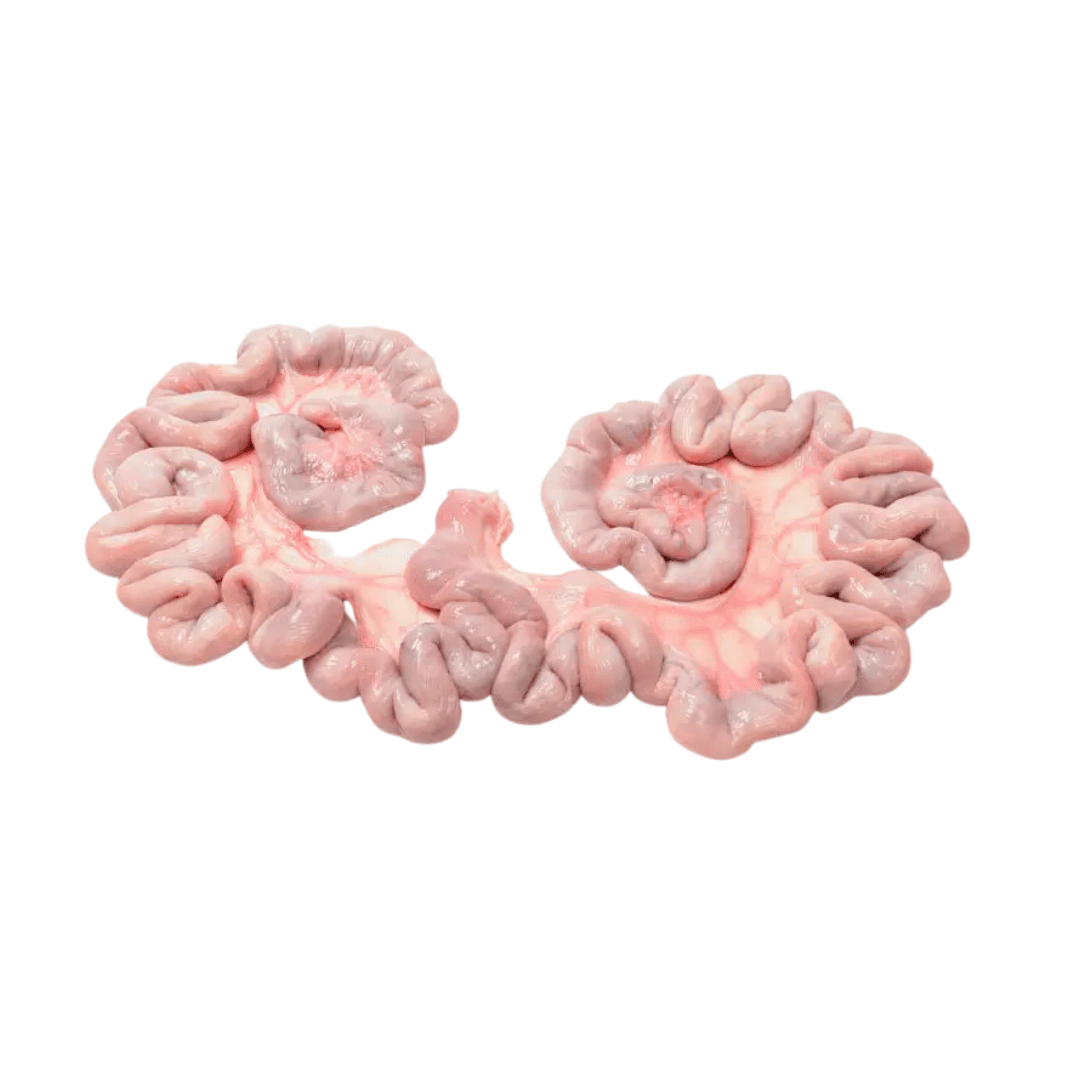 Raw Pork Uteri Denmark - 10kg± (sold per carton)