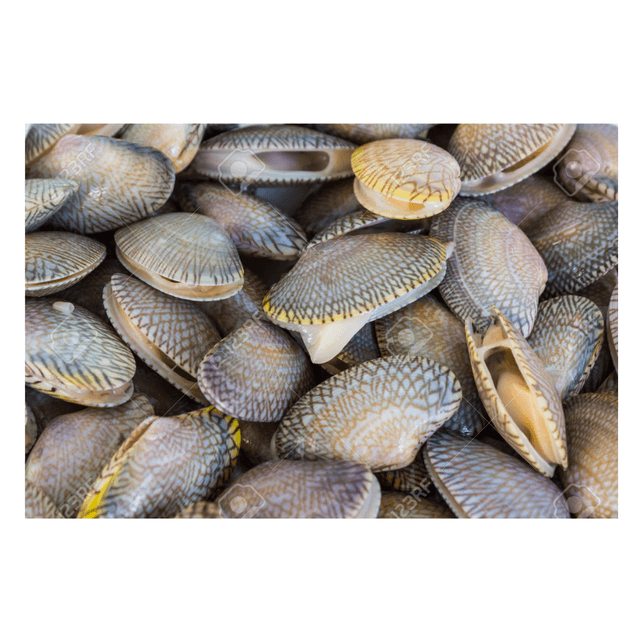 Whole Lala - 16kg± (sold per carton)