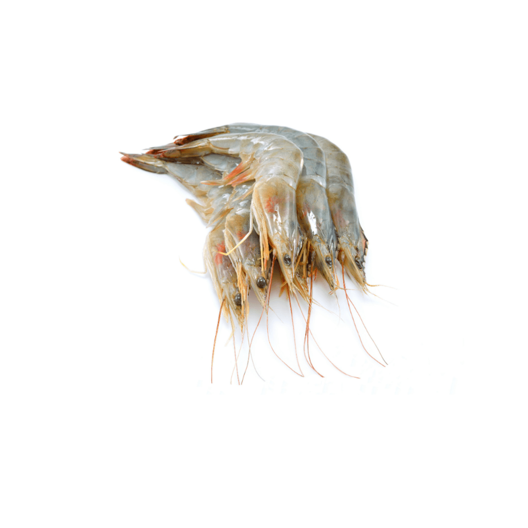 PRAWN VANAMEI HOSO 41/50 10pkt (Sold per Carton)