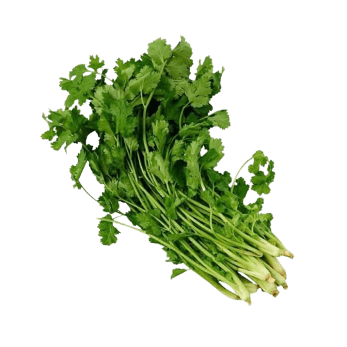 Leaf Coriander / Daun Ketumbar/Insai (sold per kg)