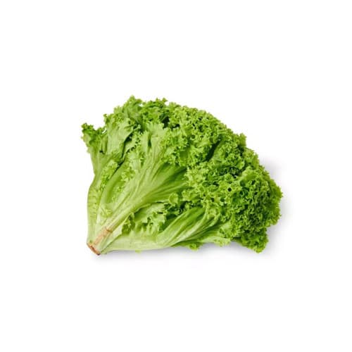 Lettuce Coral Green / Lollo Bionda (sold per kg)