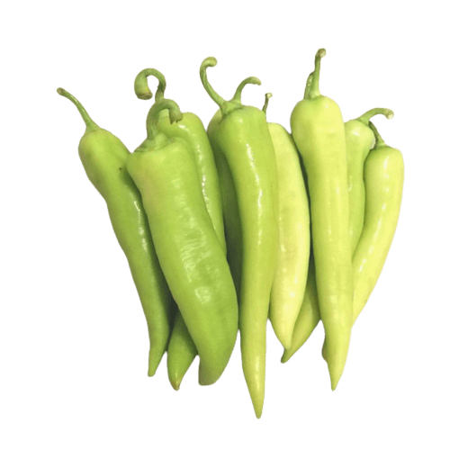 Chili Solok (sold per kg)