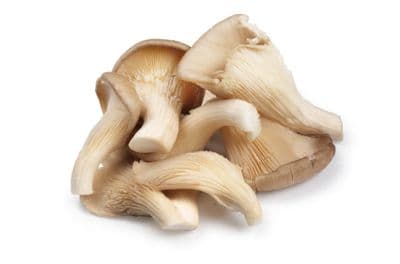Mushroom Pearl Oyster / Abalone (sold per kg)