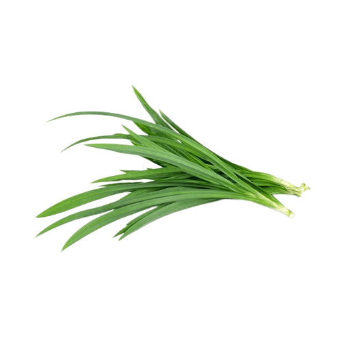 Leaf Pandan (sold per kg)